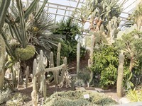 Botanischer Garten der Universität Halle-Wittenberg